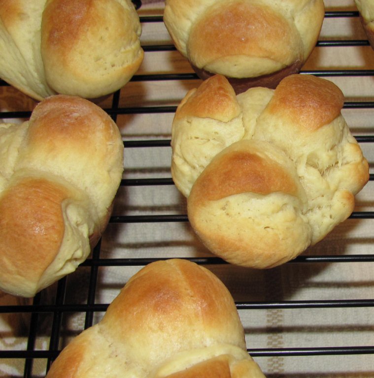 Cloverleaf Rolls Kristine's Kitchen