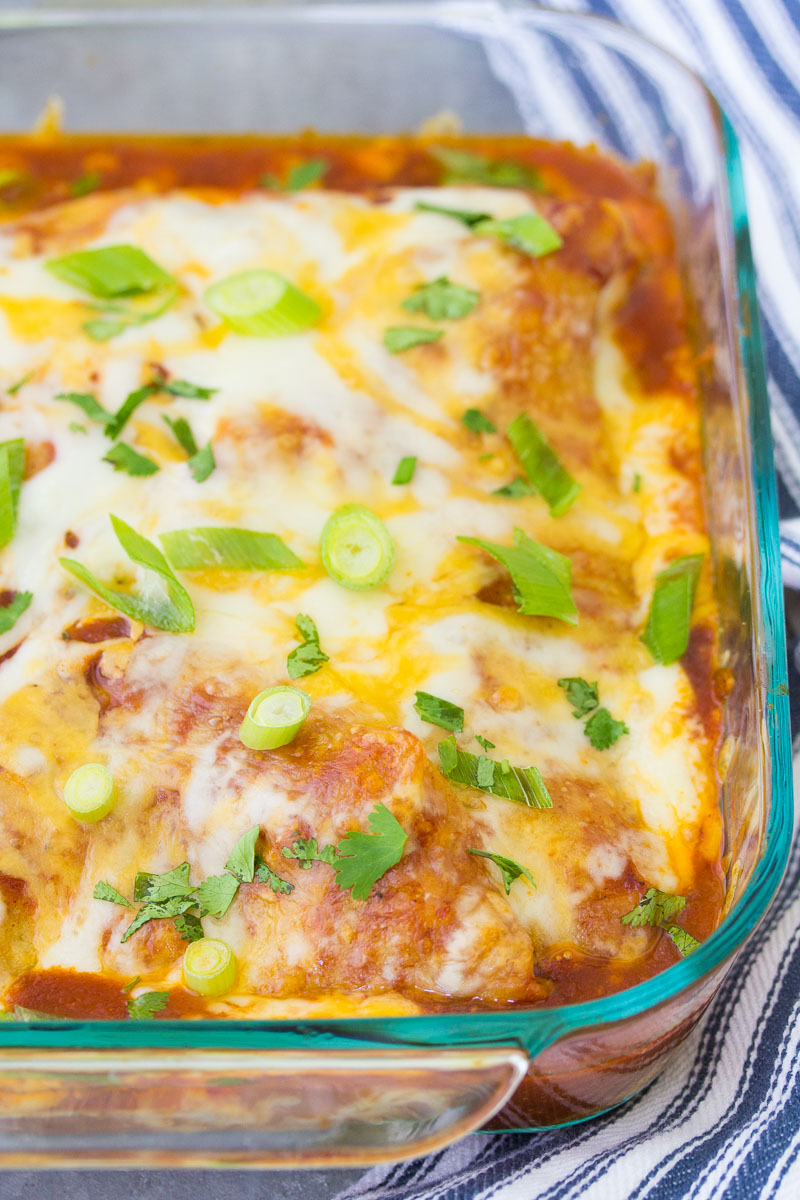 Chicken Enchilada Casserole - Easy 4 Ingredient Recipe!