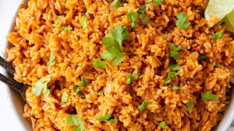 Best instant outlet pot mexican rice