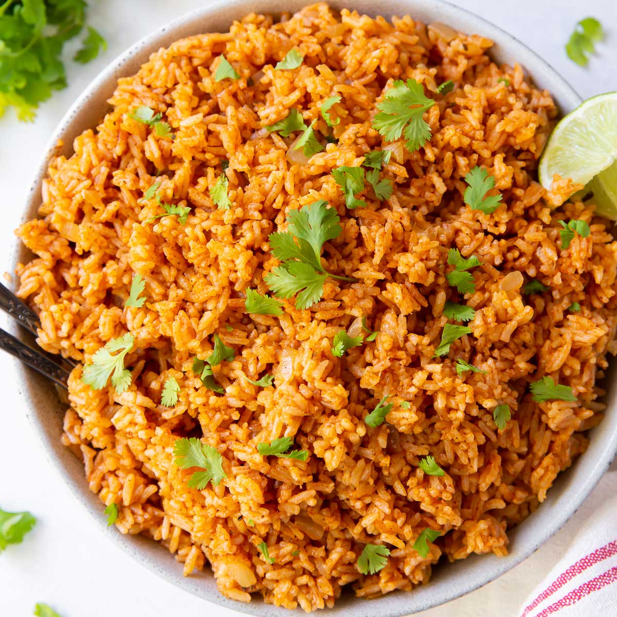Instant Pot Mexican Rice (Spanish Rice Recipe)