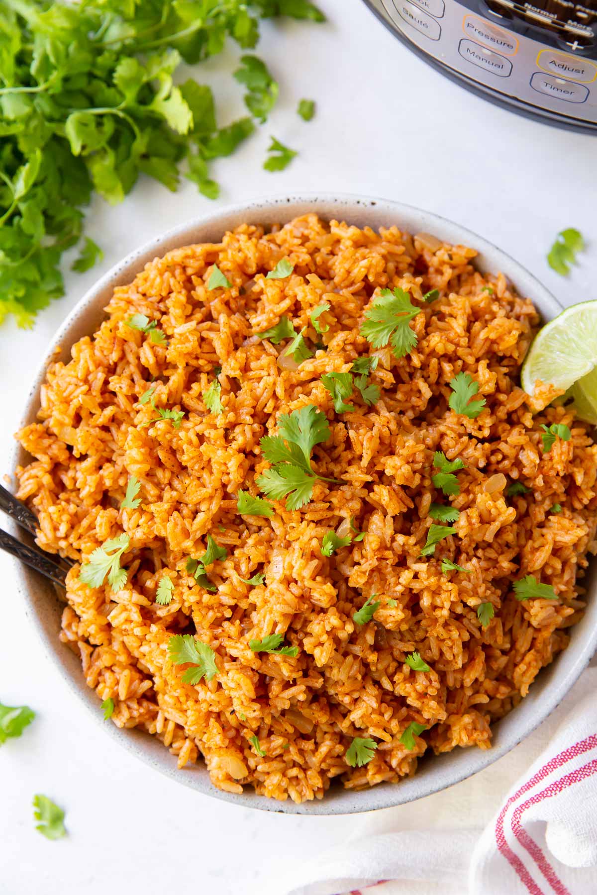 Instant Pot Spanish Rice (aka Mexican Rice) – A Couple Cooks