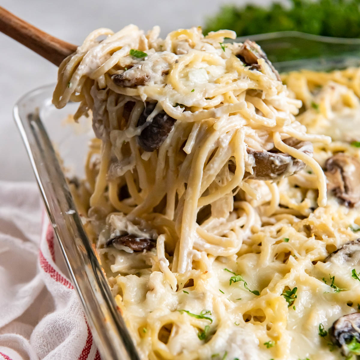 Chicken Tetrazzini
