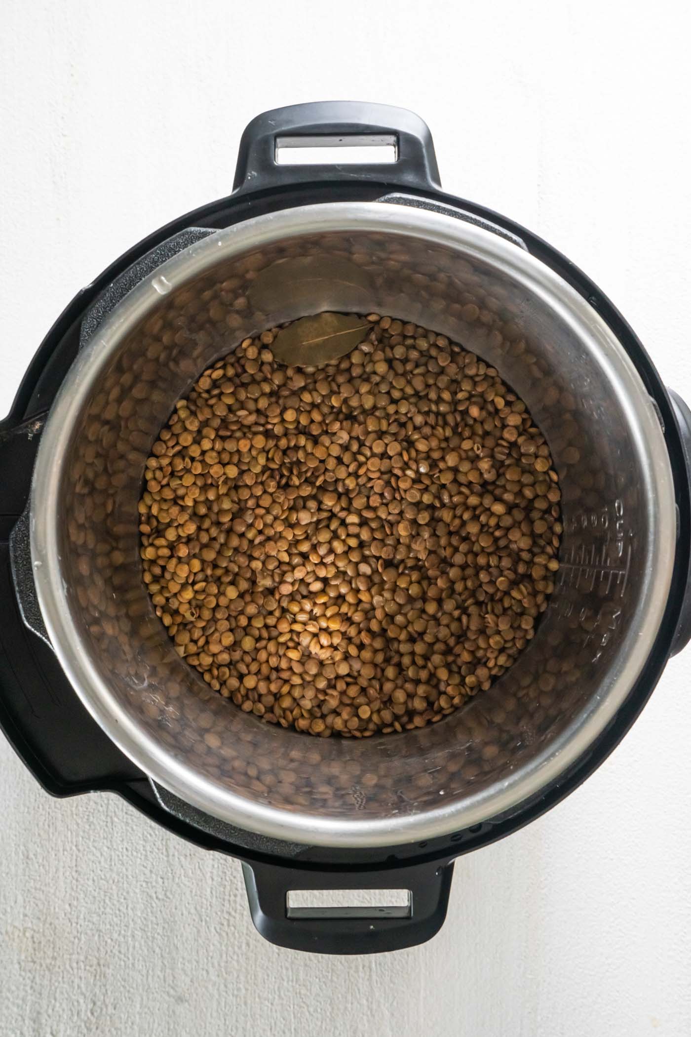 Instant Pot Lentils Recipe - Kristine's Kitchen