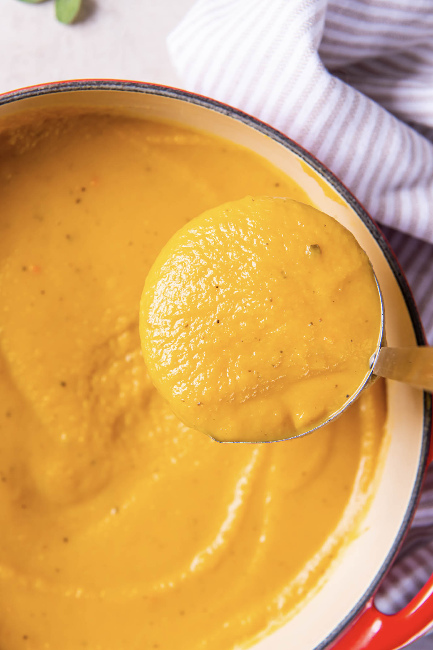 Butternut Squash Soup - Kristine's Kitchen