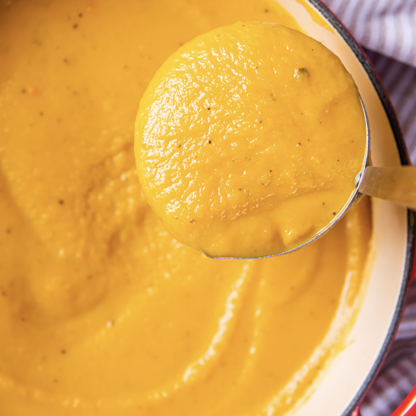 Butternut Squash Soup