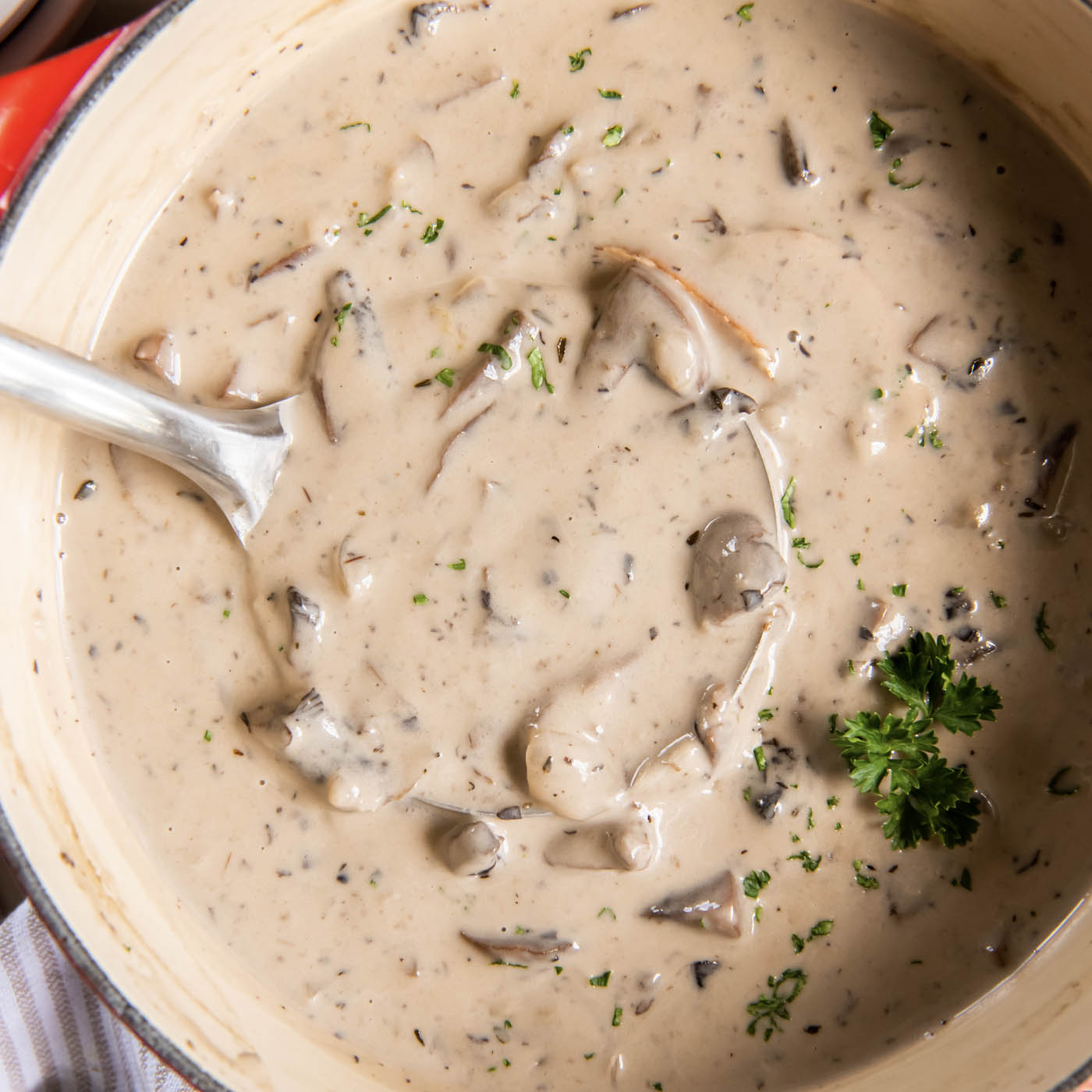 Cream of Mushroom Soup