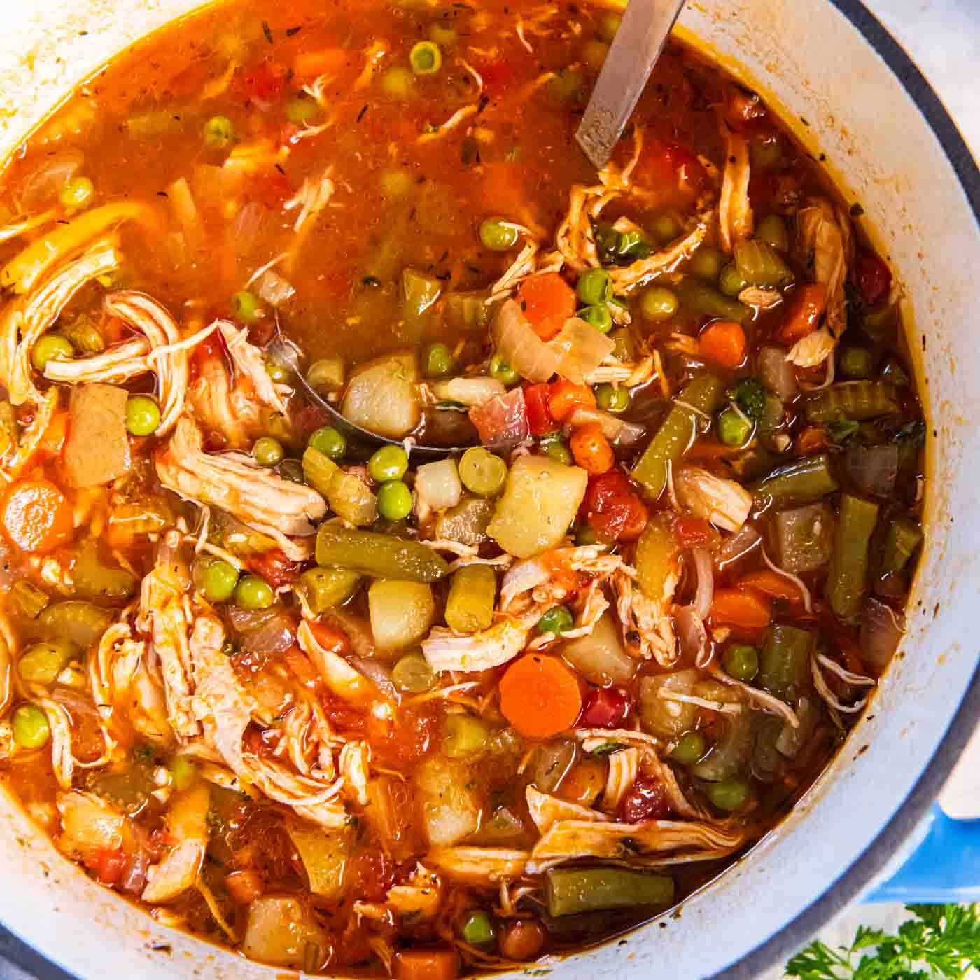 Chicken Vegetable Soup
