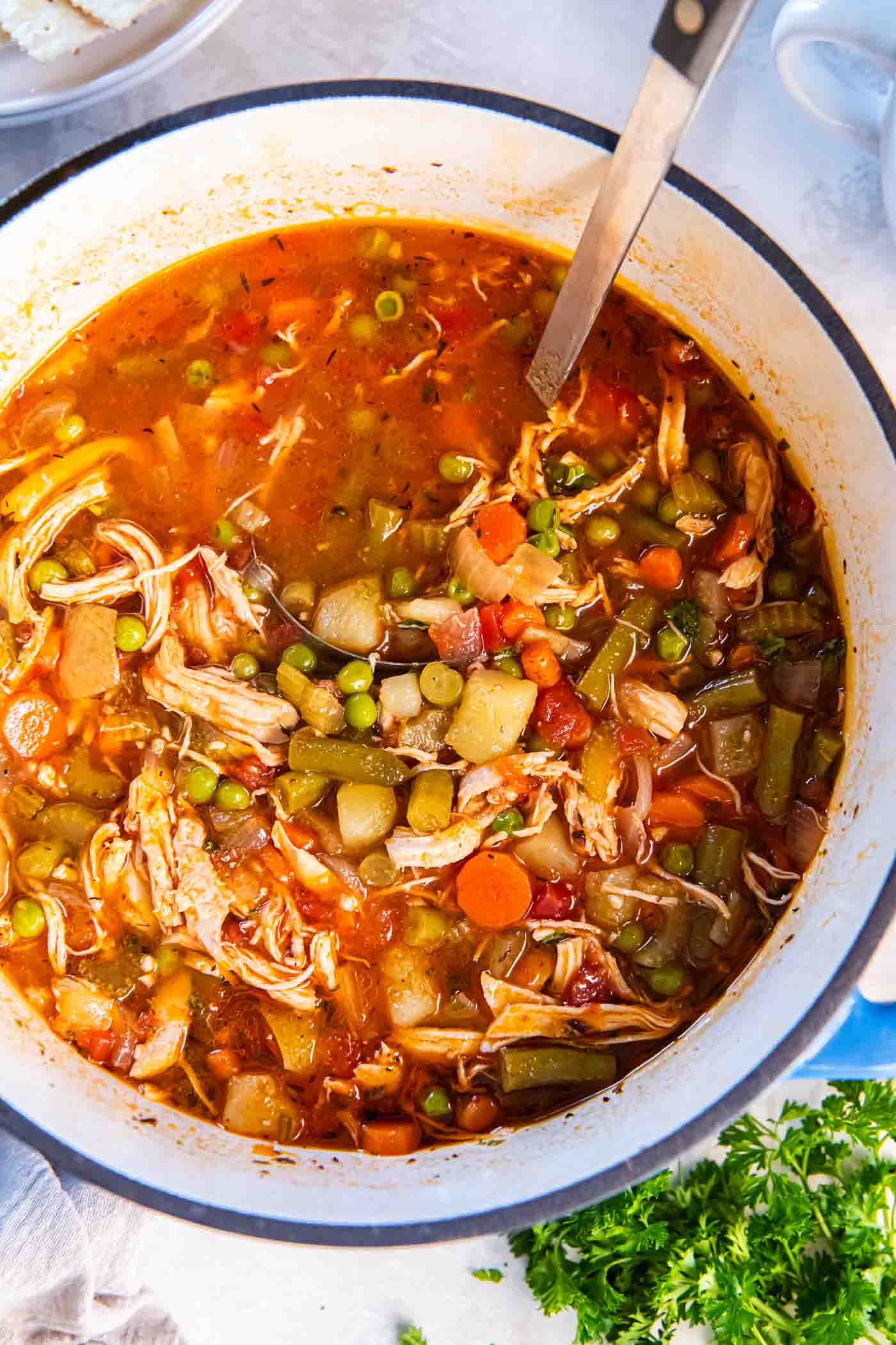 Chicken Vegetable Soup Recipe - Kristine's Kitchen